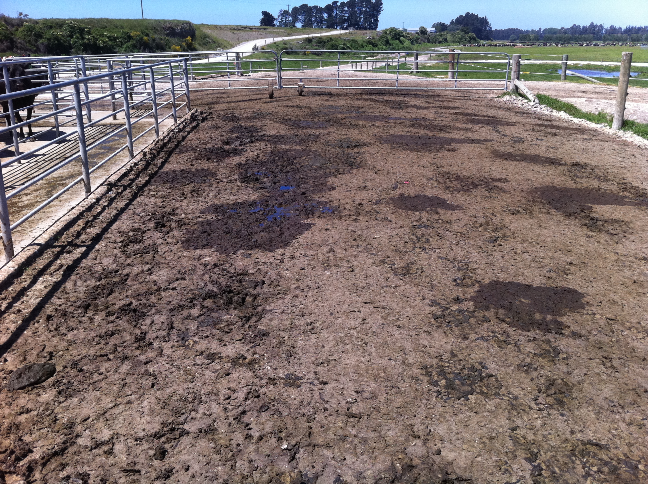 JalMatDairy - Farm race case study, Lyle & Robyn Green Dairy Farm